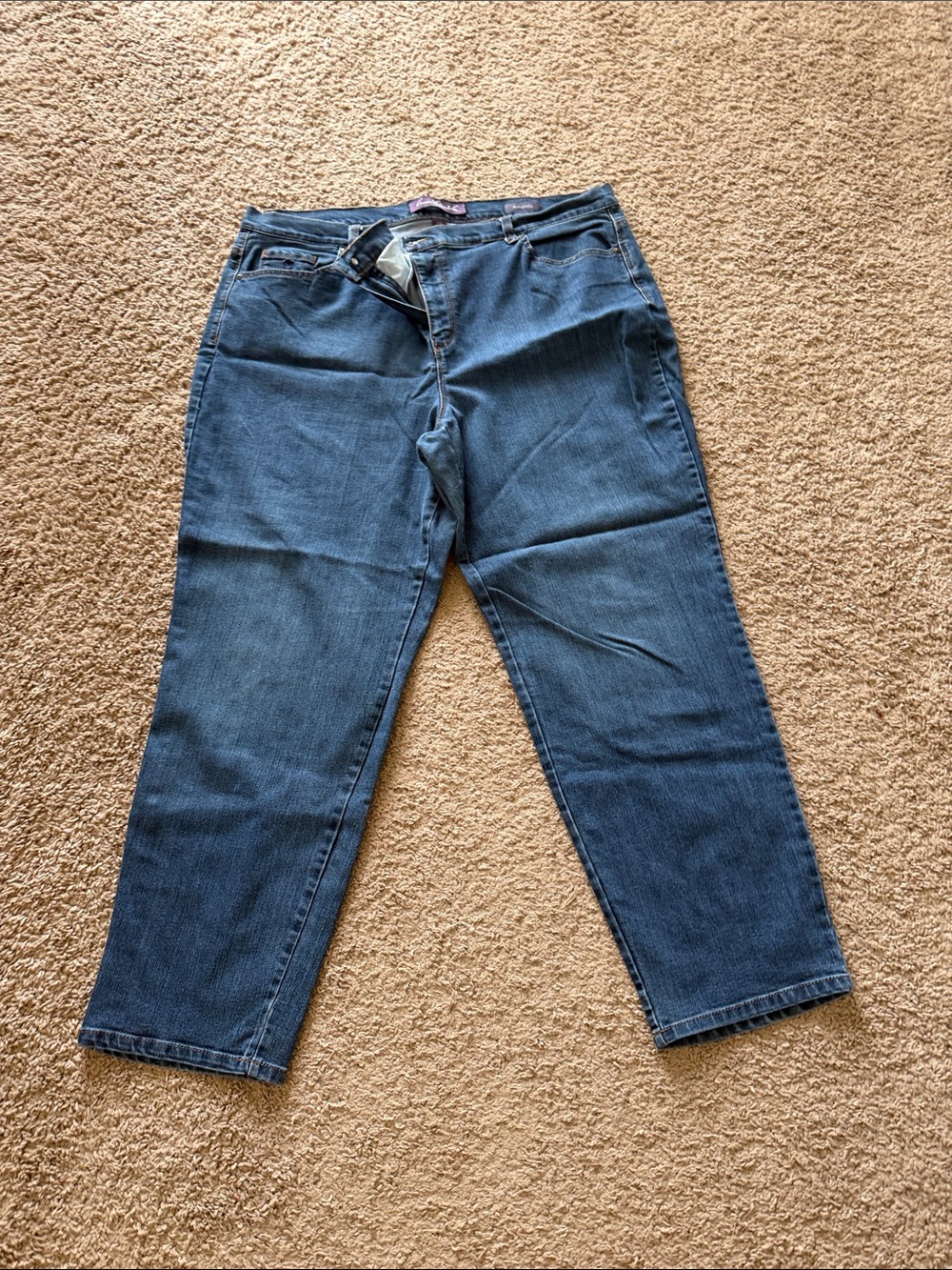 Gloria Vanderbilt jeans size 20W